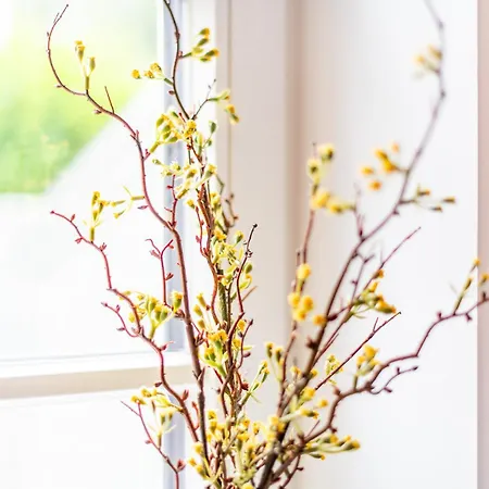 F27 Living Whg 02 ווסטרלנד